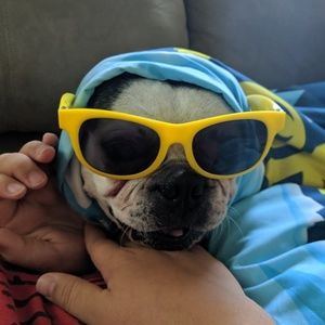 Meet your Posher, William